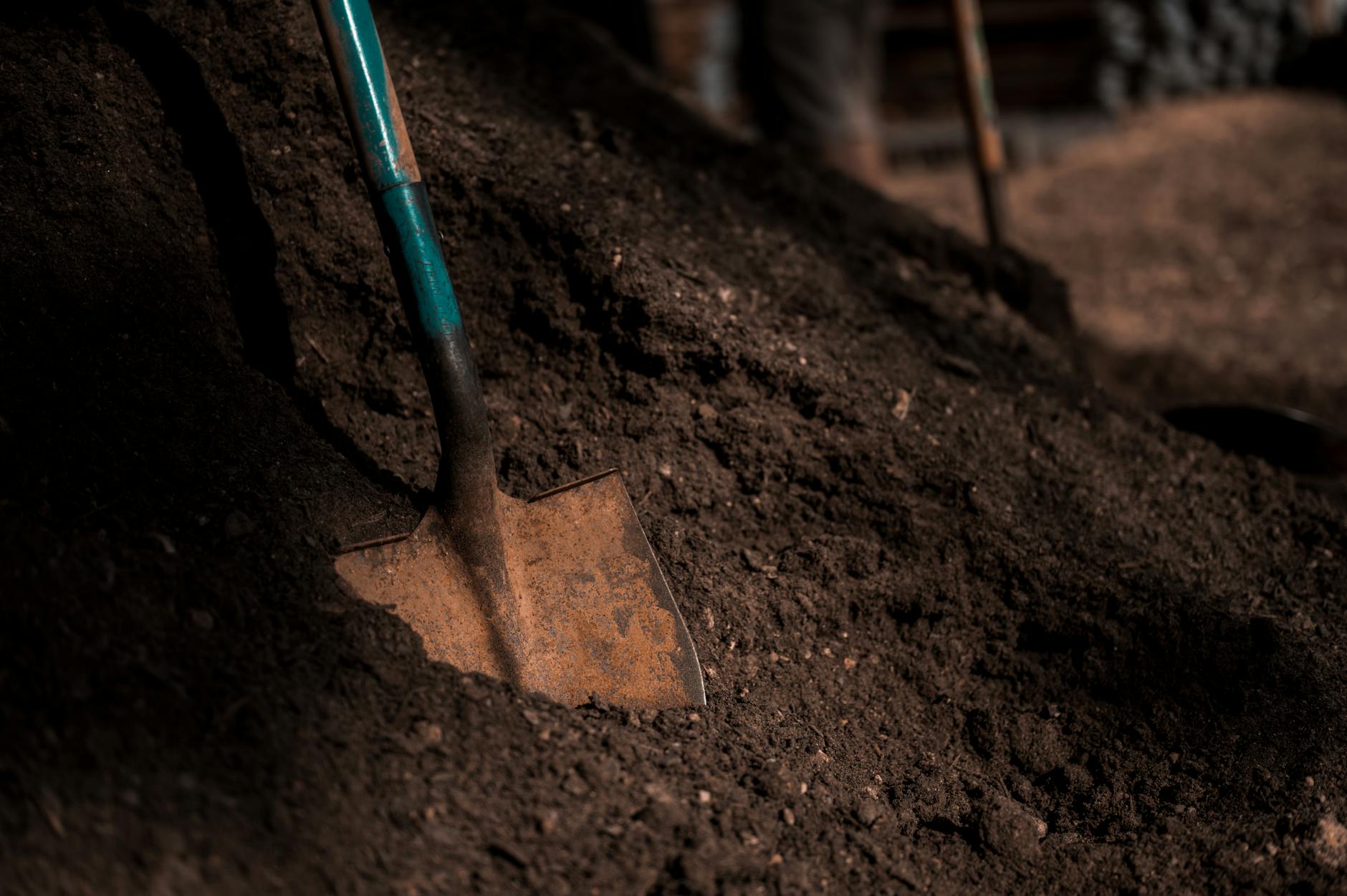 Starting Your First Garden: Everything You Need to Know About Topsoil Properly prepared ground ensures plants establish deep roots and thrive season after season.
