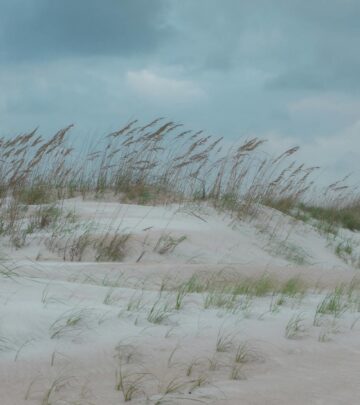 Enjoy an emerald-green lawn that thrives in heat, humidity, and salt-sprayed coastal areas.