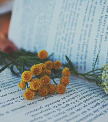 Gardening 101: All About Growing and Enjoying Yarrow