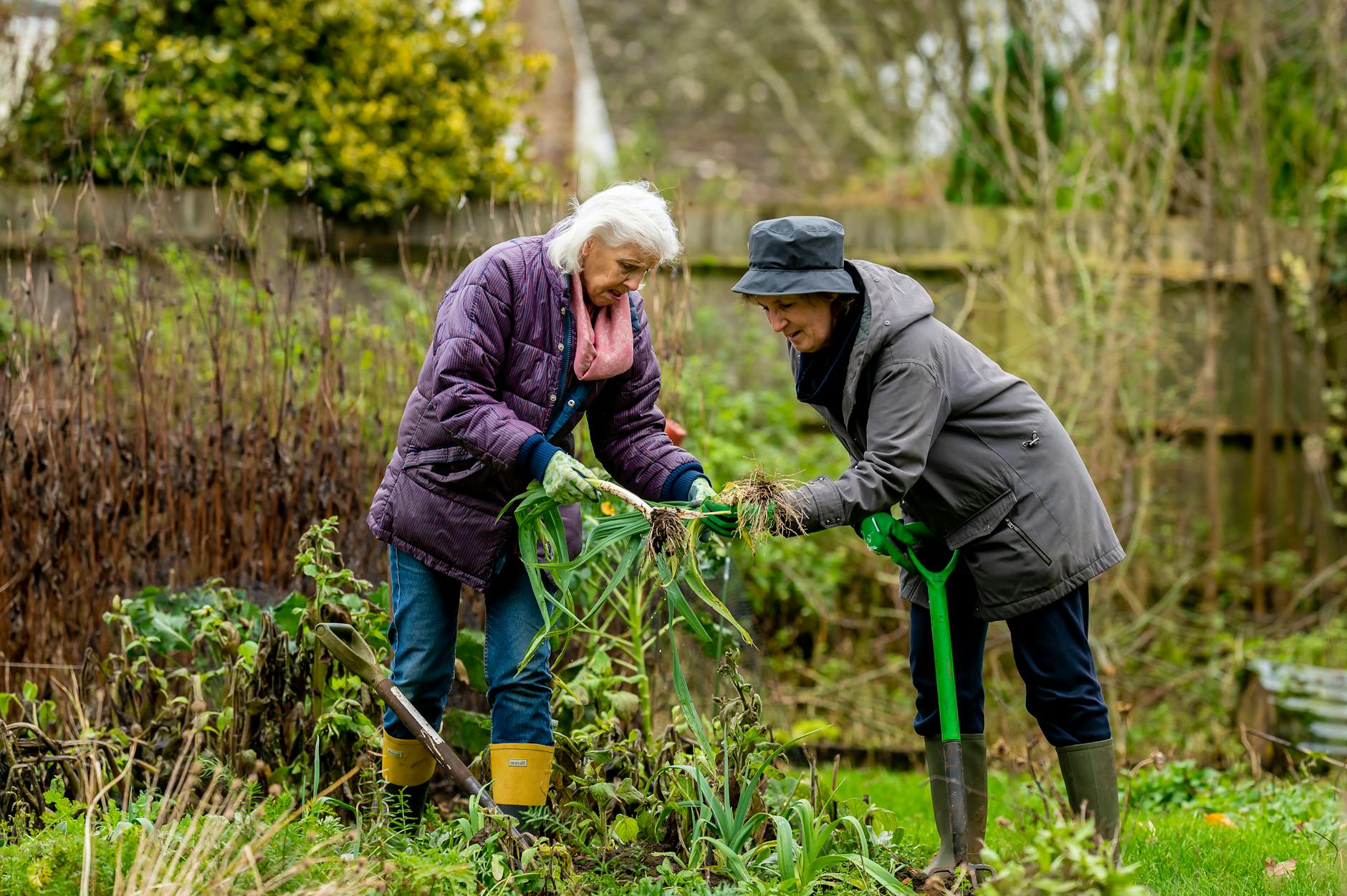 Gardening Bohemia: Bloomsbury Women Outdoors – An Exhibition at the Garden Museum Experience sanctuaries where art, friendship, and radical ideas bloomed.