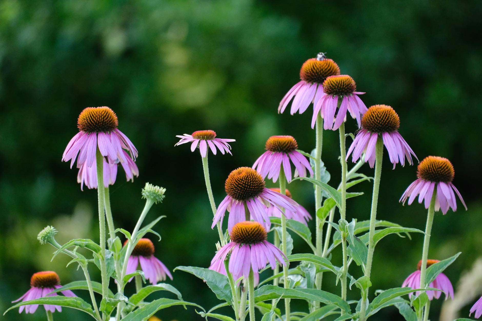 Expert styling secrets and DIY hacks to bring comfort and character to garden corners.
