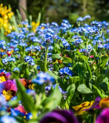 Merging structured layouts with wild planting creates lush retreats that balance beauty and sustainability.