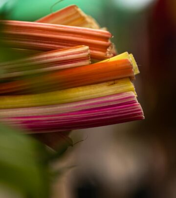 Grilled Swiss Chard Stems: The Only Recipe You Need