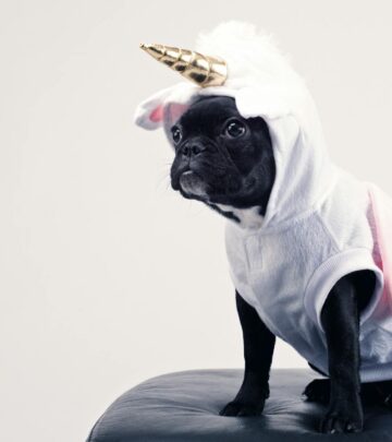 Spooktacular Halloween Dog Names: Top Picks for Your Boo-tiful Pup