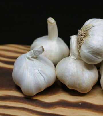 Choosing the best seed and soil preparation lays the groundwork for a season of robust bulbs.