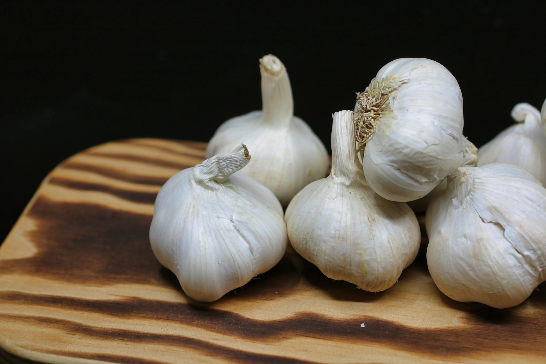 Choosing the best seed and soil preparation lays the groundwork for a season of robust bulbs.