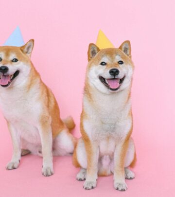 How to Introduce a New Dog to Your Current Dog: Best Practices for a Smooth Transition