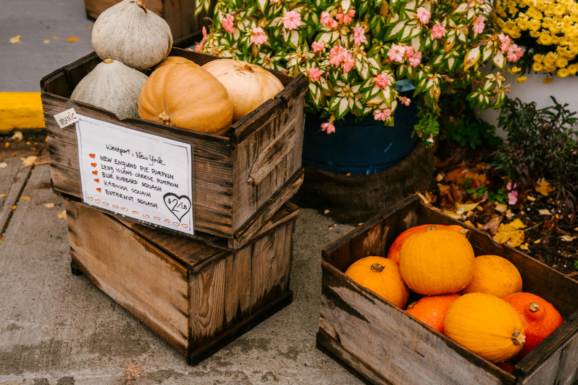 Early mornings bring the freshest blooms, great deals, and secret stalls to explore.