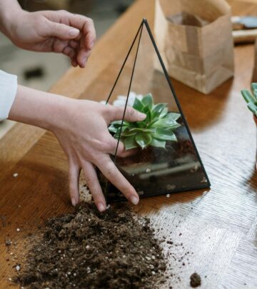 Gardening 101: How to Plant and Care for an Indoor Terrarium