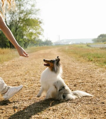 How to Train Your Dog to Speak on Command
