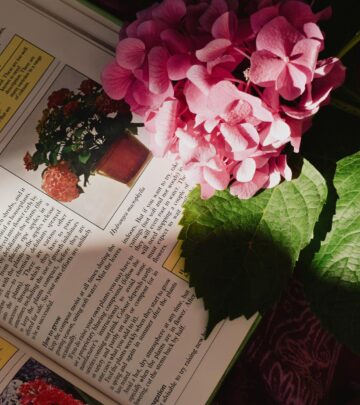 Protect your shrubs from hidden harm and bring back vibrant, healthy foliage.