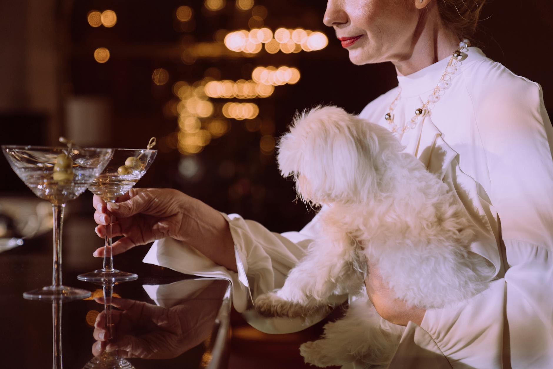 Spot early signs of poisoning and safeguard your pet before severe complications develop.