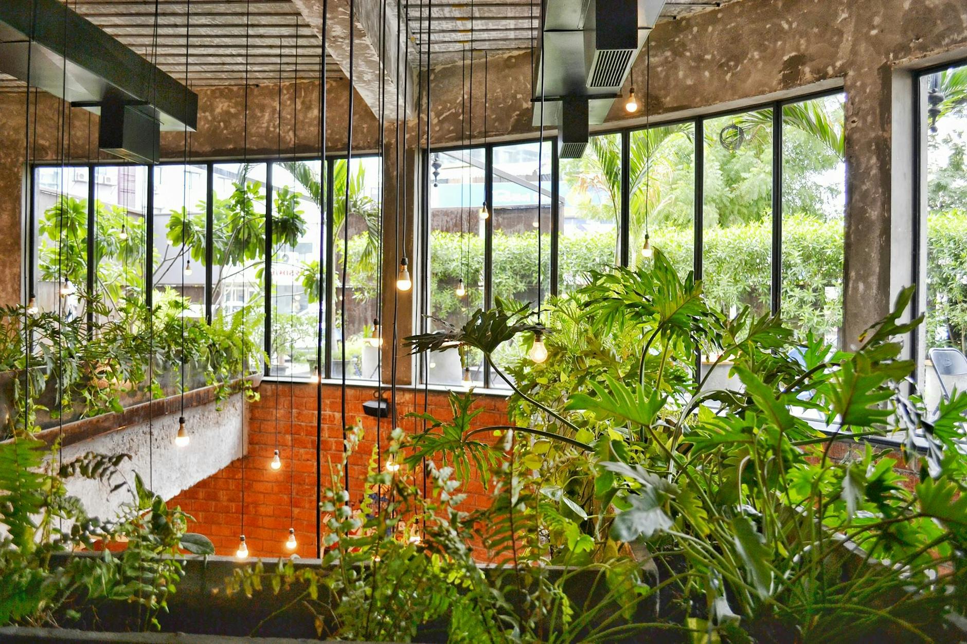 Strategic design and plant choices make overlooked city yards lush, versatile retreats.