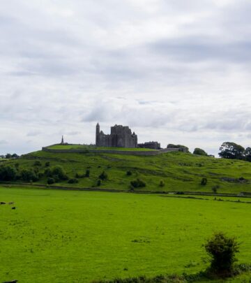 Living Locally: Journal of Rural Life in Tipperary