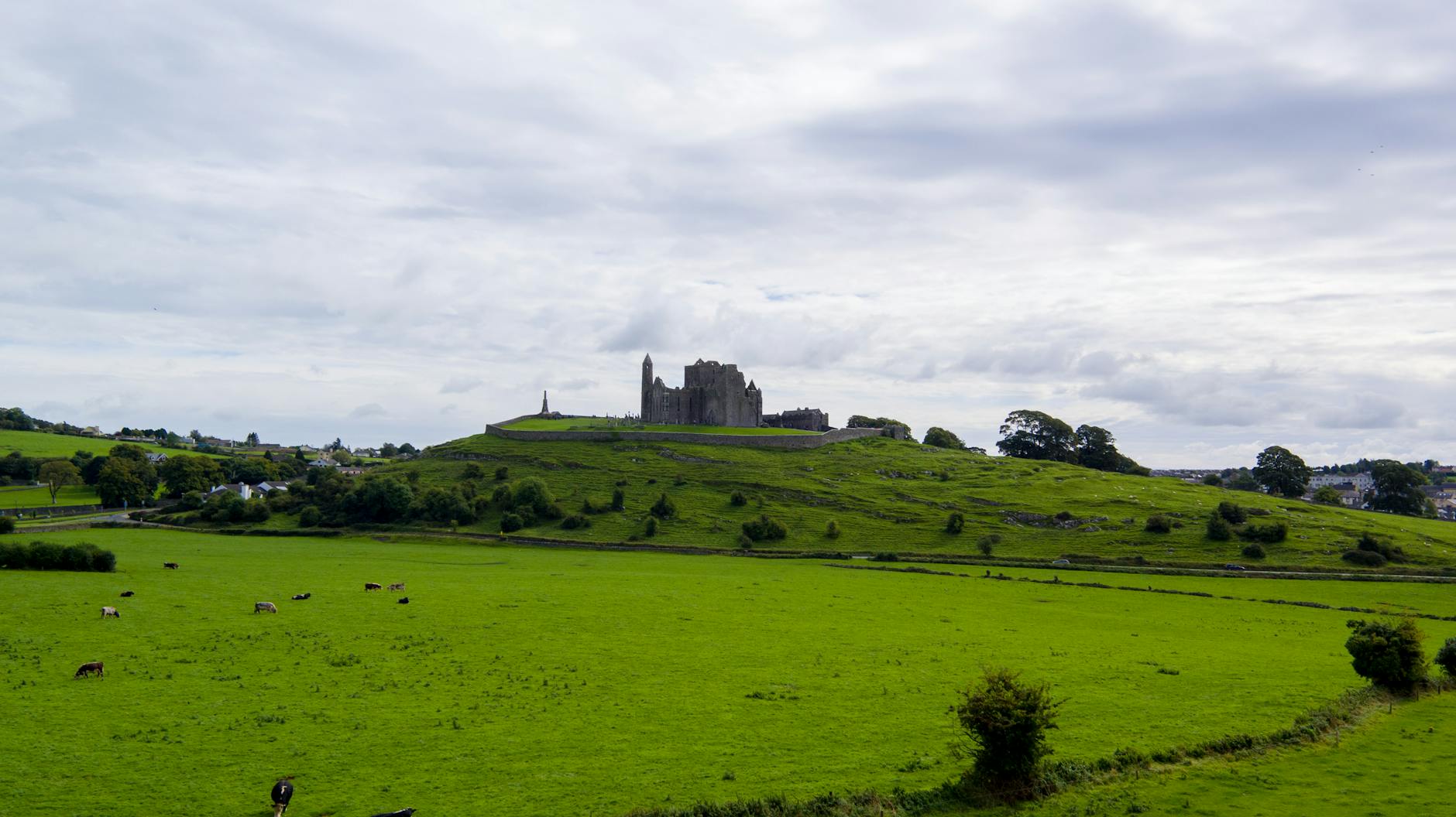 Daily observations reveal the unseen beauty and community woven into Ireland’s farmland.