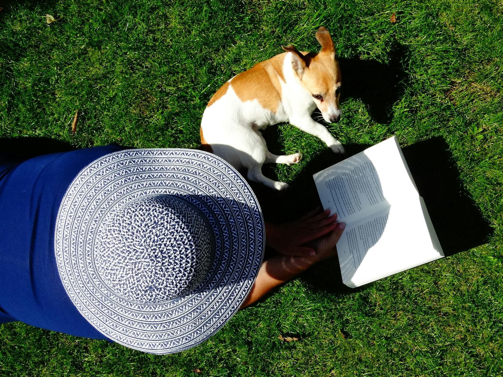 A simple image captures the depth of a lifelong bond and offers gentle comfort.