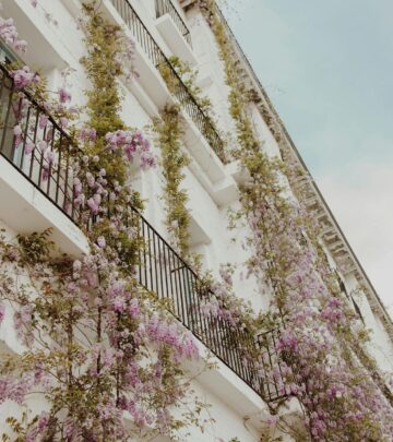 Wisteria: How to Grow (and Tame) the Perennial Flowering Vine