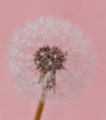 Select Seeds: Heirloom Flower Seeds and Plants for the Modern Gardener