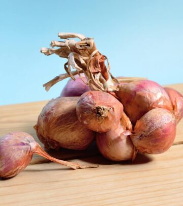 Master taste and texture nuances to elevate your cooking with the right bulb choice.