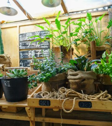 Shopper’s Diary: Discovering Berkeley Horticultural Nursery’s Living Legacy