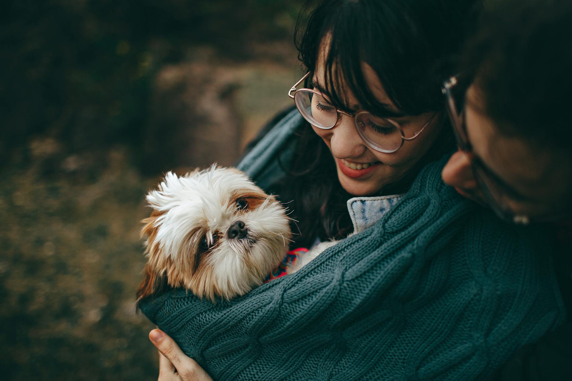 Practical strategies help anxious dogs build confidence and enjoy calm, happy days.