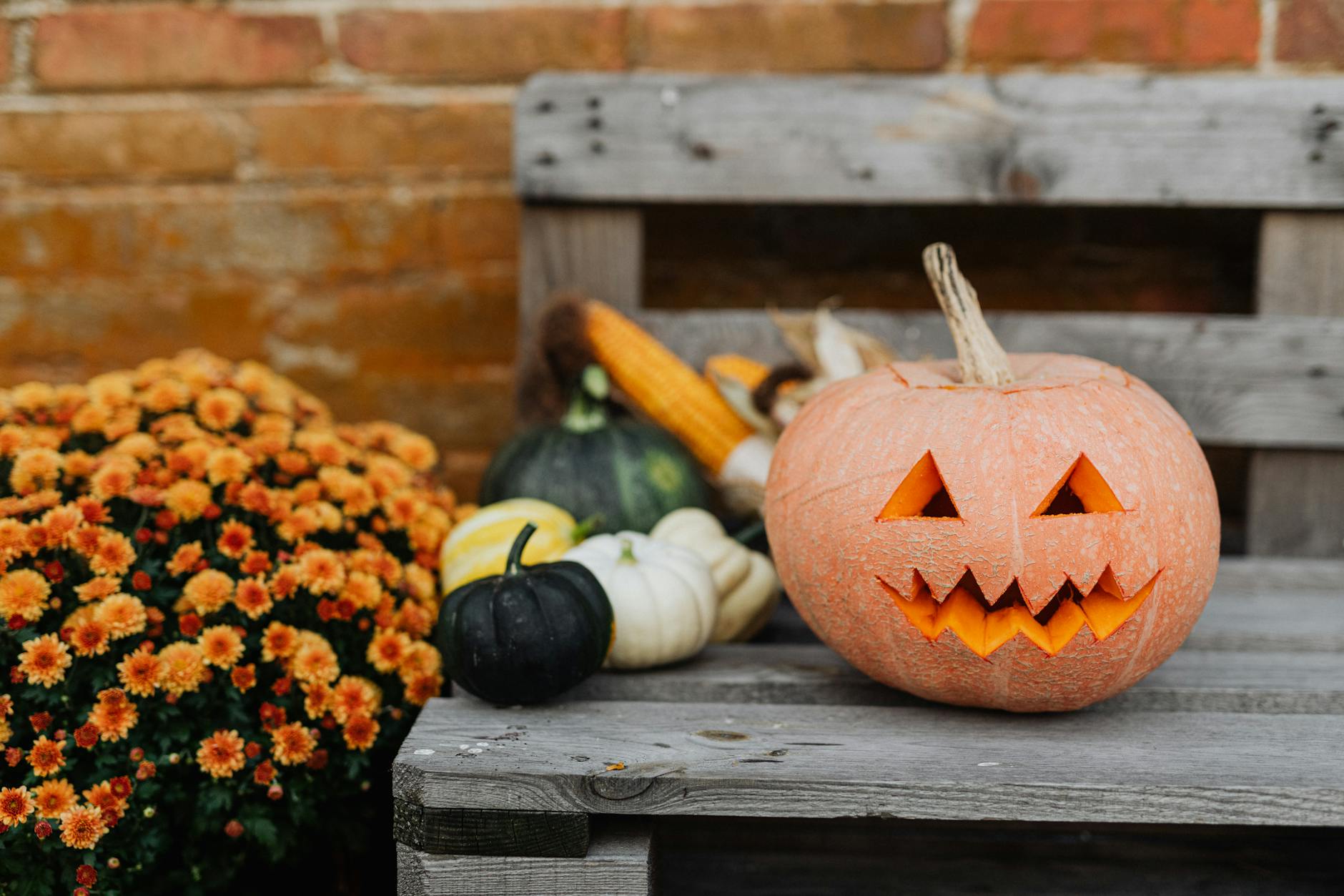 55 Unique Pumpkin Carving Ideas and Tips for a Creative Halloween Elevate your carving game with fresh design concepts and smart preservation secrets.