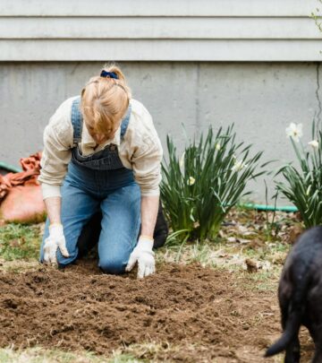 Why Does My Dog Eat Dirt? Causes, Risks, and Solutions
