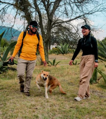 Why Dogs Try to Eat Bees: Causes, Risks, and How to Protect Your Pet