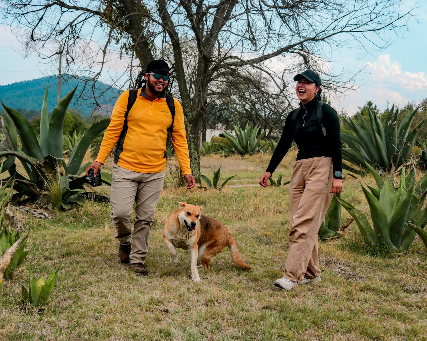 Explore instinctive drives that lure dogs into danger and strategies to keep them safe.