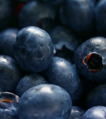 Why Is My Blueberry Plant Dying? Causes, Solutions, and Expert Care Tips
