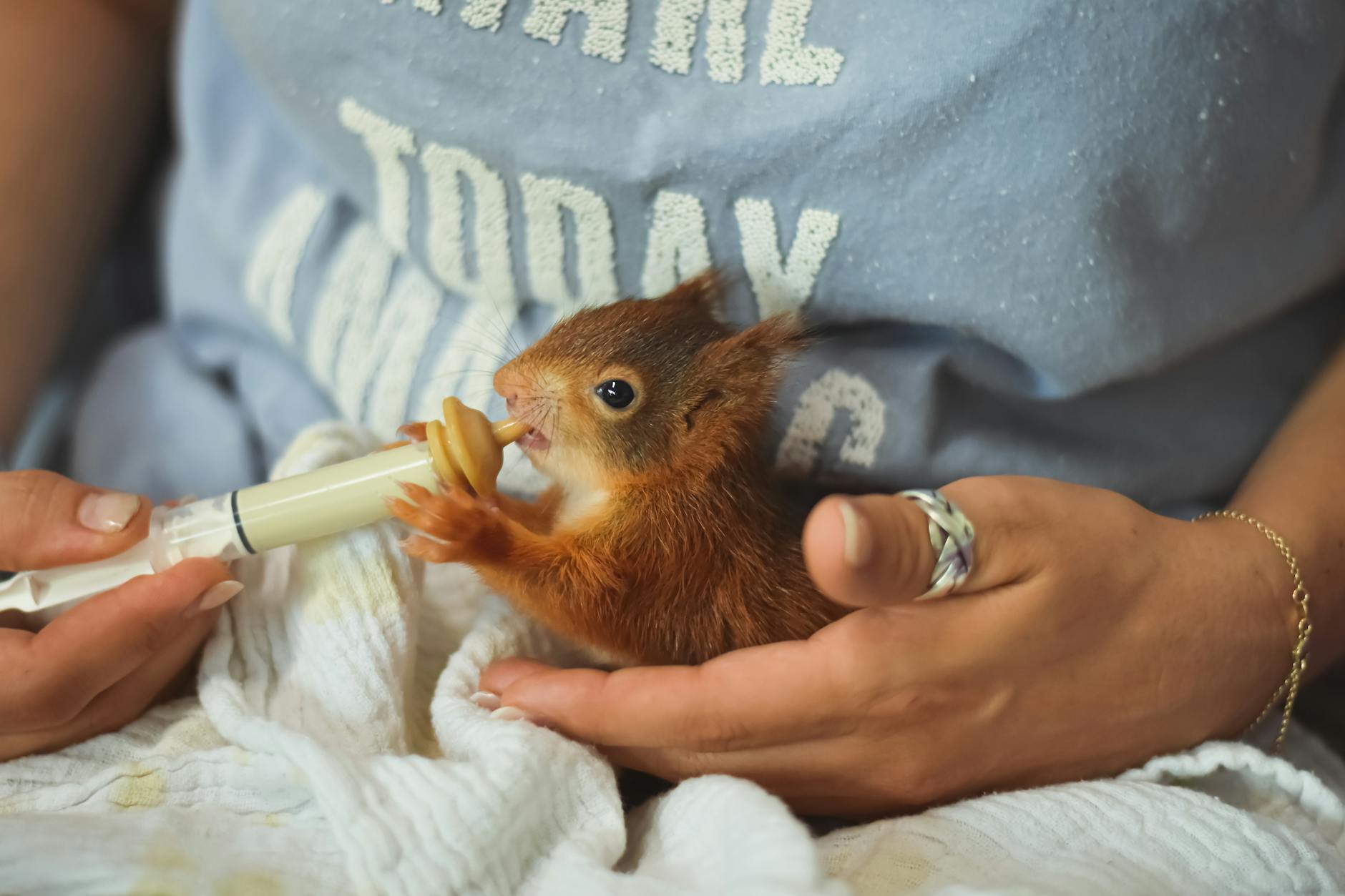 A rancher’s ingenuity and compassion show how a little research can save a life.