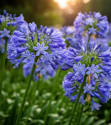 Discover vibrant blossoms and expert tips for nurturing stunning garden favorites year-round.