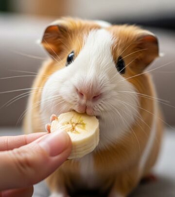 Small slices of fruit can boost your pet’s vitamin intake without overloading its system.