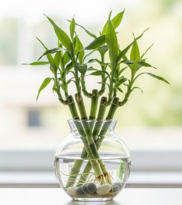 Discover plant secrets to thrive with vibrant stalks, easy methods, and lasting greenery.
