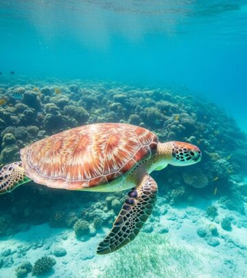 Slow metabolism and sturdy shells help chelonians thrive across generations.