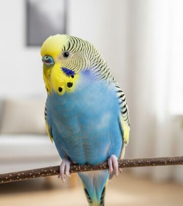 Explore 120+ cute, clever, funny, and unique bird names—perfect for every personality, species, and style.