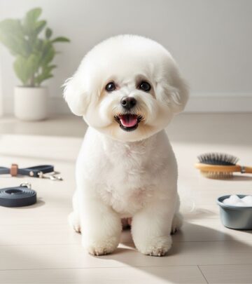 Fluffy companions with cheerful spirits, discover how to nurture their joyful lives!