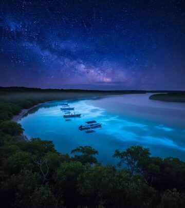 Discover the glowing wonders, unique ecology, and visiting tips for Vieques’ famous Mosquito Bay—the world’s brightest bioluminescent lagoon.