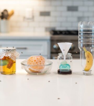 realted-article-image