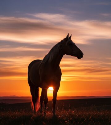 Discover the profound impact of horses through inspiring quotes and stories.