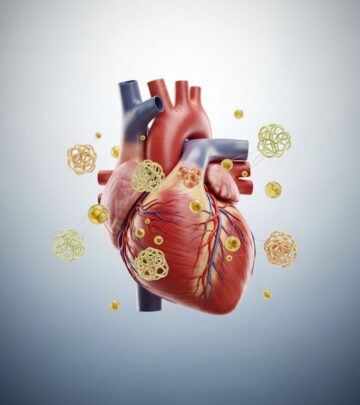 Understanding triglycerides is crucial to heart health; learn what they are, their risks, and how to keep levels healthy.