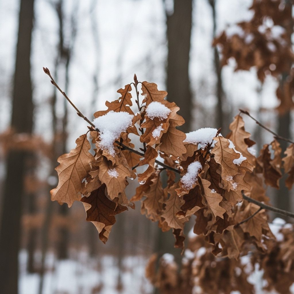 Discover the fascinating natural phenomenon of marcescence and why certain trees hold on to their leaves long after autumn ends.